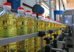 edible sunflower oil